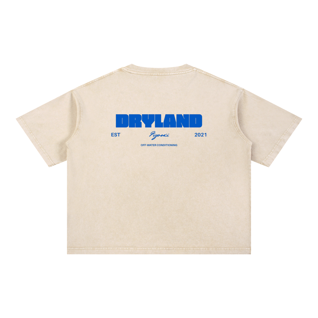 PIGOSKI Dryland Est. 2021 Boxy Tee — Mineral Wash