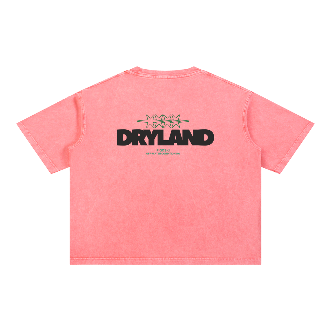 Mineral Wash Boxy Cotton T-Shirt