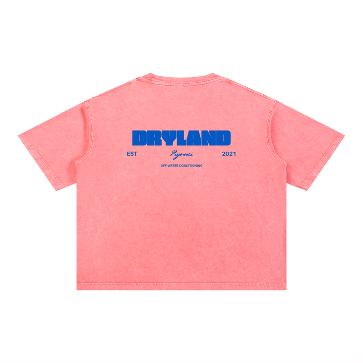 Mineral Wash Boxy Cotton T-Shirt