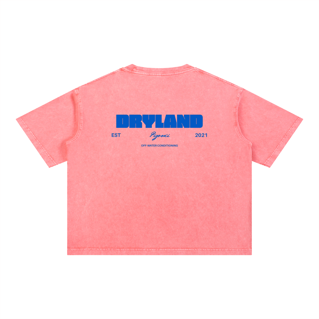 PIGOSKI Dryland Est. 2021 Boxy Tee — Mineral Wash
