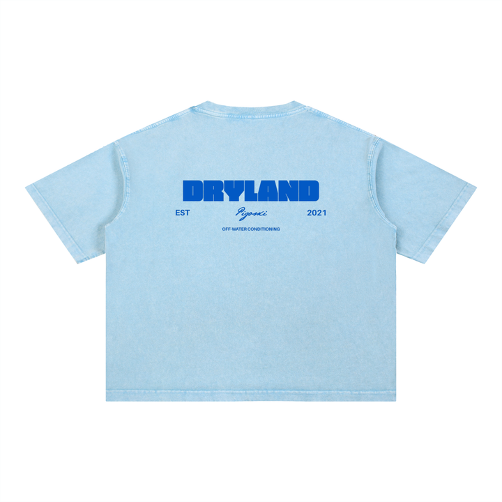 PIGOSKI Dryland Est. 2021 Boxy Tee — Mineral Wash