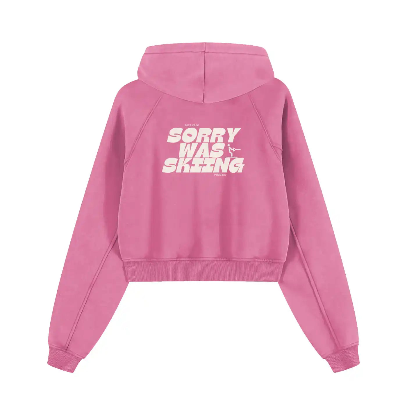 Pink hoodie with text on the back against a white background