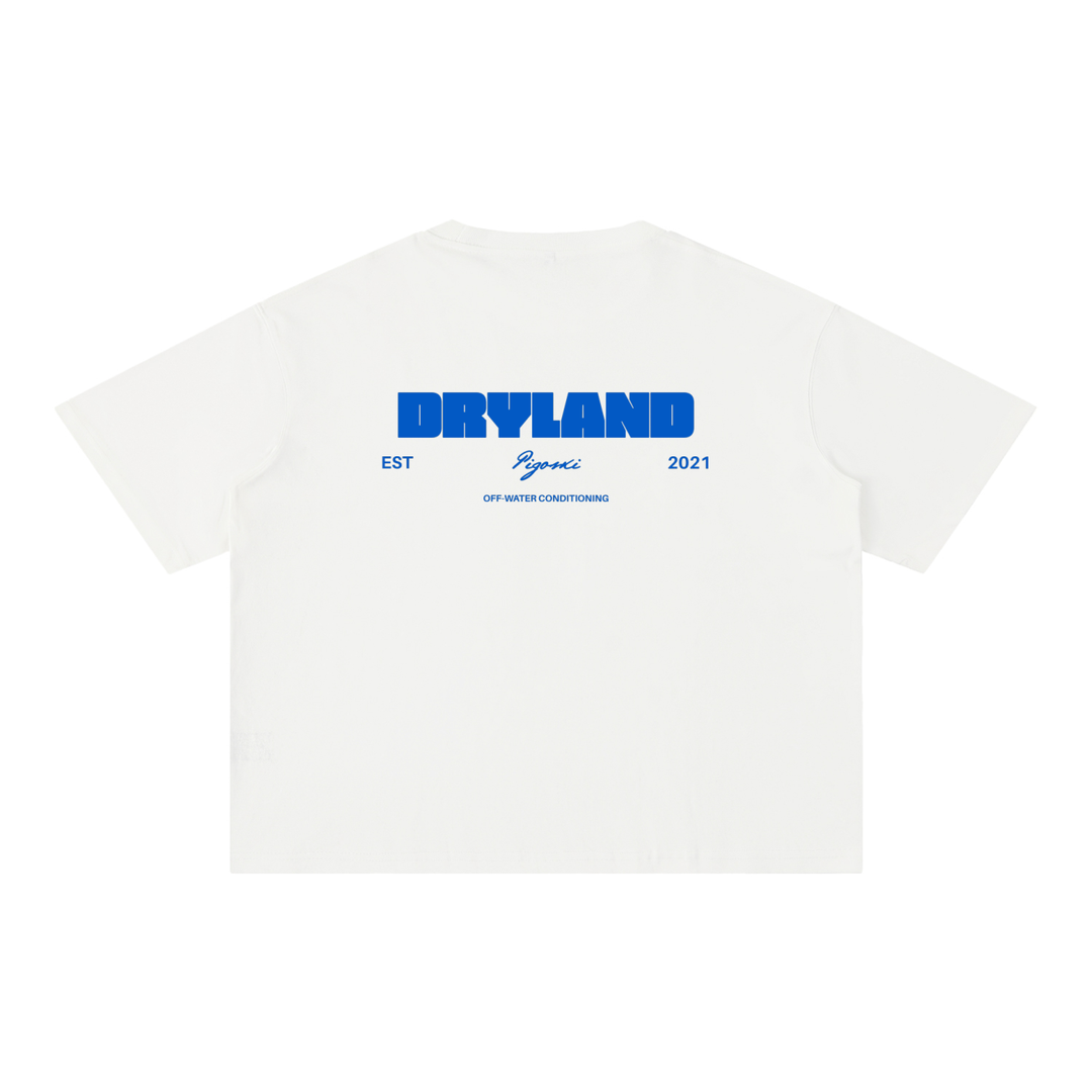 PIGOSKI Dryland Est. 2021 Boxy Tee — Mineral Wash