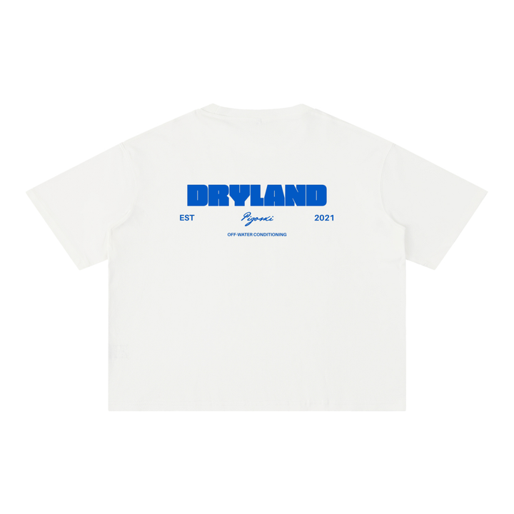 PIGOSKI Dryland Est. 2021 Boxy Tee — Mineral Wash