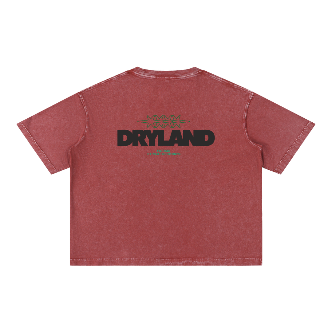 Mineral Wash Boxy Cotton T-Shirt