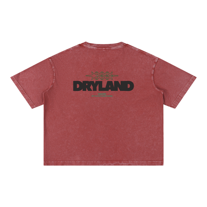 Mineral Wash Boxy Cotton T-Shirt