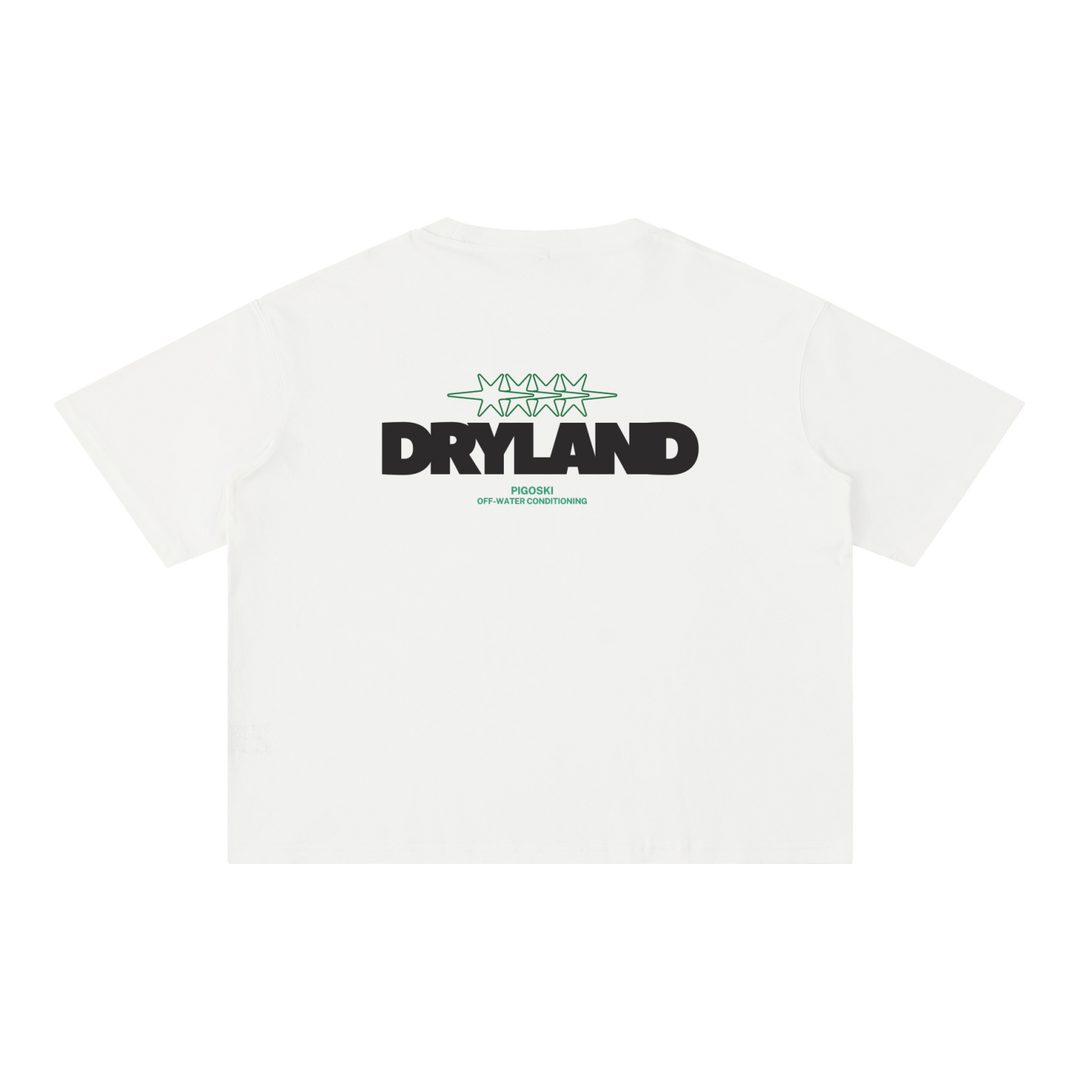 PIGOSKI Dryland Oval Boxy Tee — Mineral Wash (Brights)
