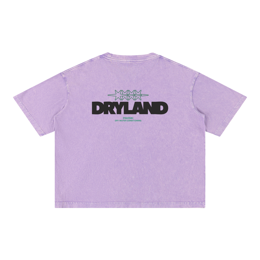 PIGOSKI Dryland Oval Boxy Tee — Mineral Wash (Brights)