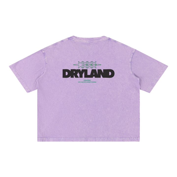 PIGOSKI Dryland Oval Boxy Tee — Mineral Wash (Brights)