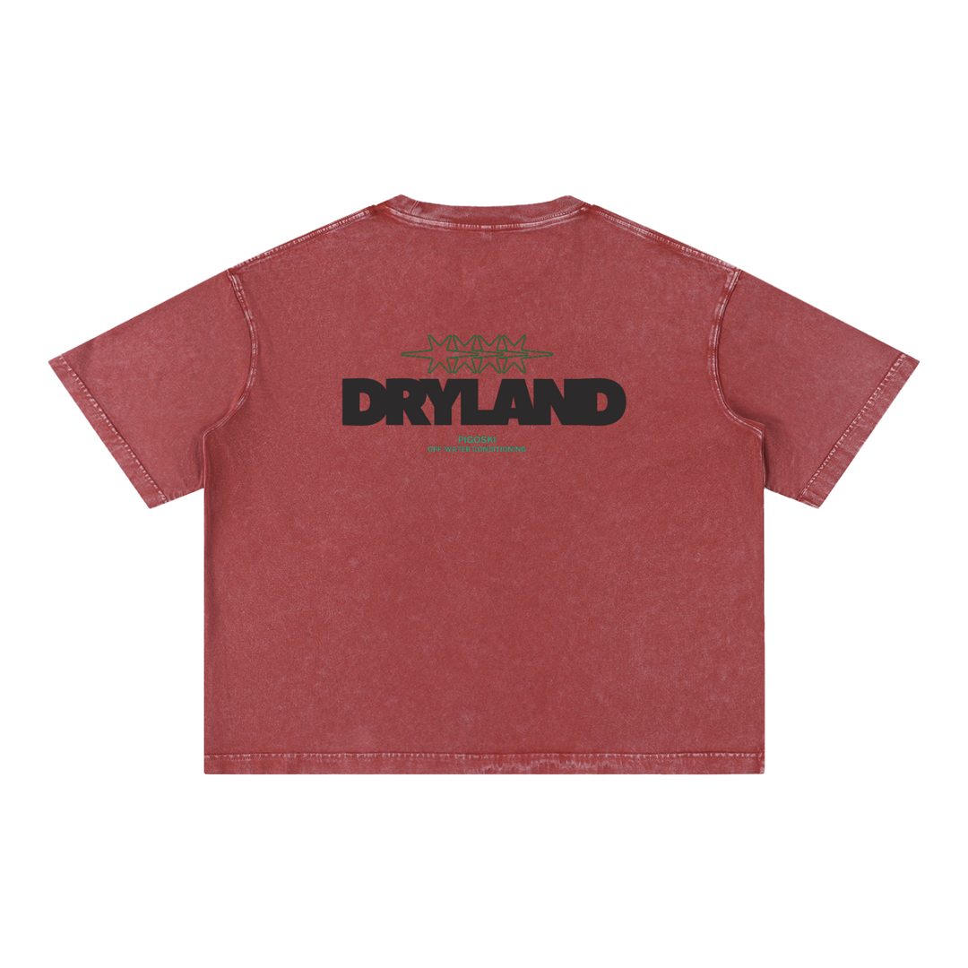 PIGOSKI Dryland Oval Boxy Tee — Mineral Wash (Brights)