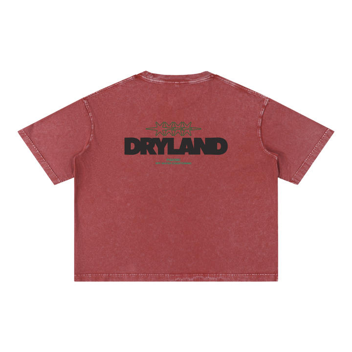PIGOSKI Dryland Oval Boxy Tee — Mineral Wash (Brights)