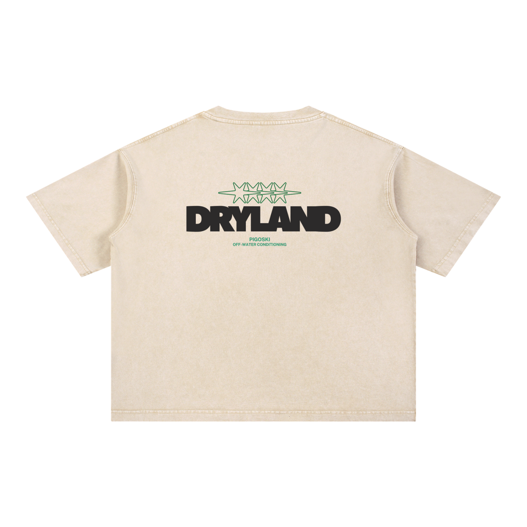 PIGOSKI Dryland Oval Boxy Tee — Mineral Wash (Brights)