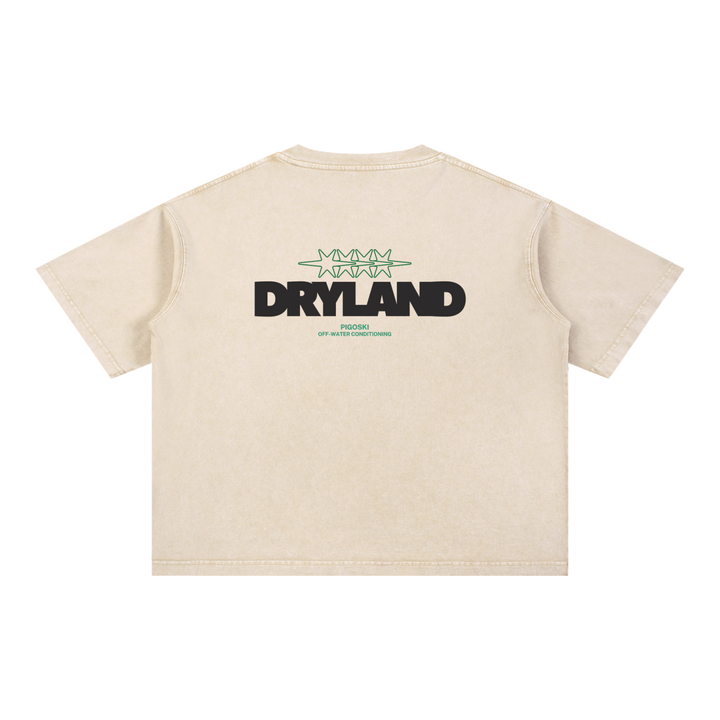 PIGOSKI Dryland Oval Boxy Tee — Mineral Wash (Brights)