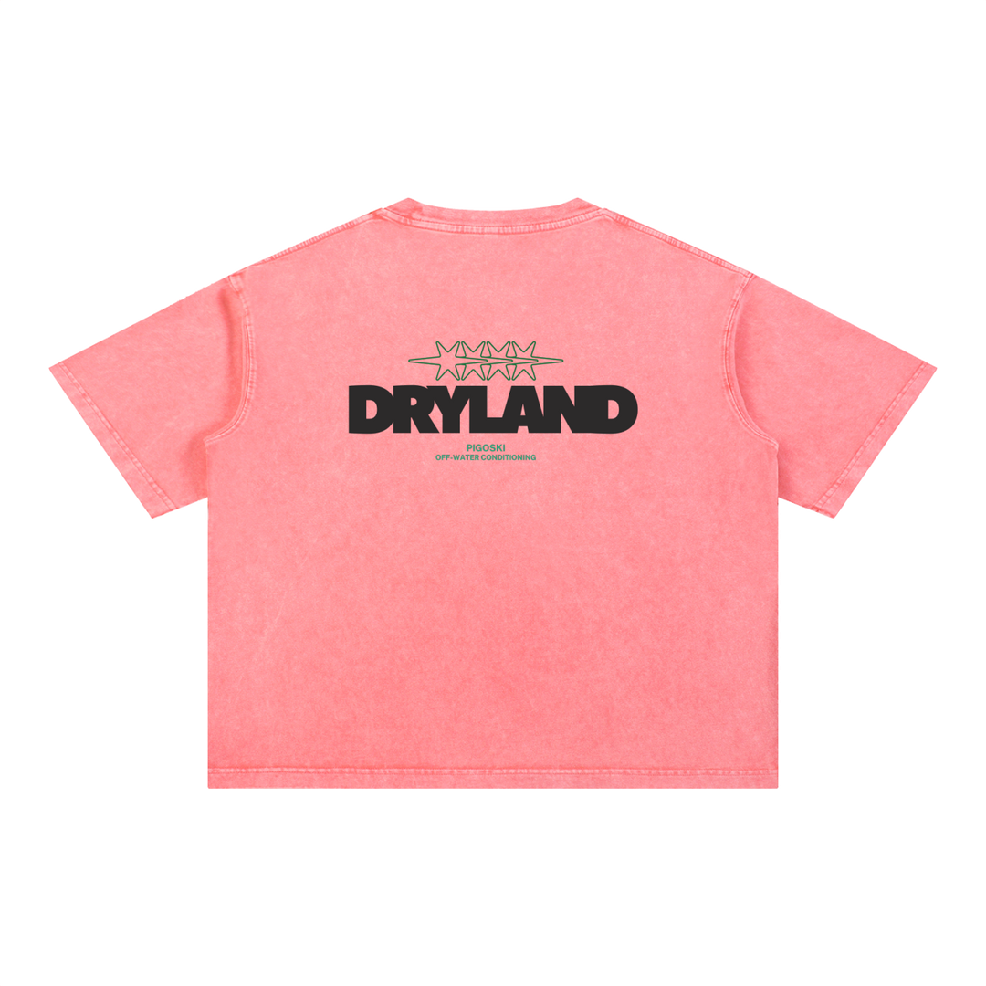 PIGOSKI Dryland Oval Boxy Tee — Mineral Wash (Brights)