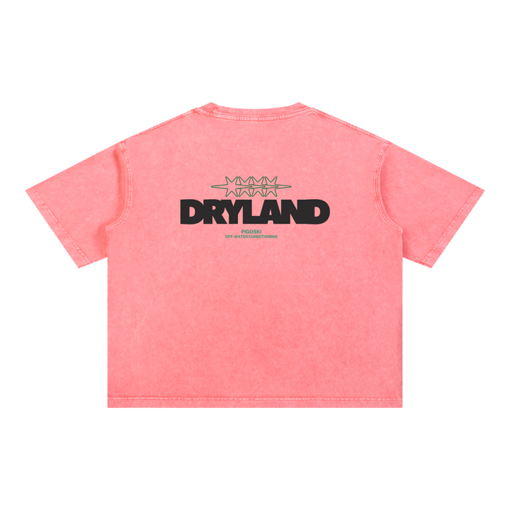 PIGOSKI Dryland Oval Boxy Tee — Mineral Wash (Brights)