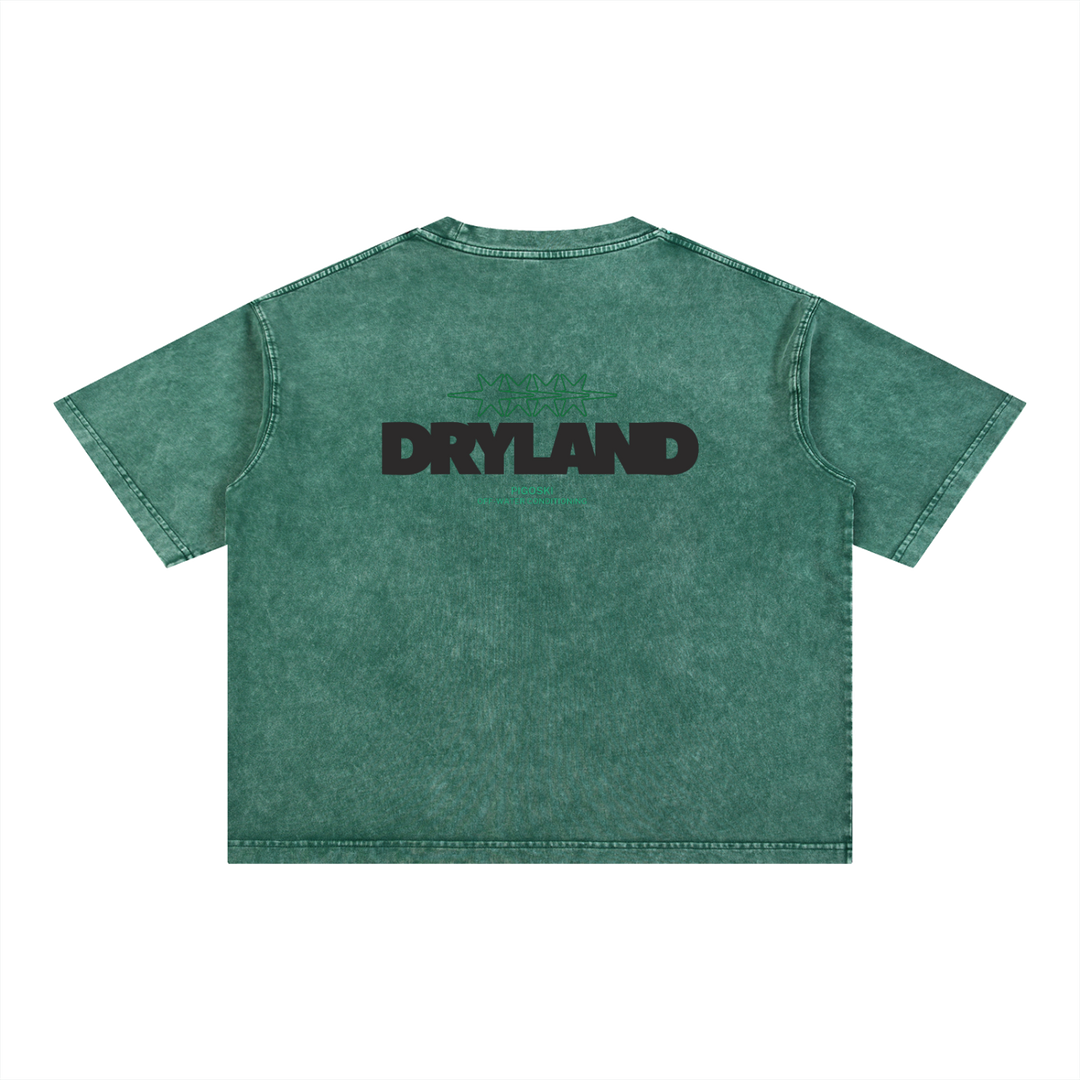 PIGOSKI Dryland Oval Boxy Tee — Mineral Wash (Brights)