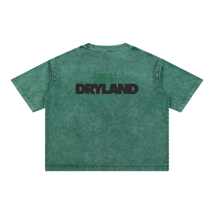PIGOSKI Dryland Oval Boxy Tee — Mineral Wash (Brights)