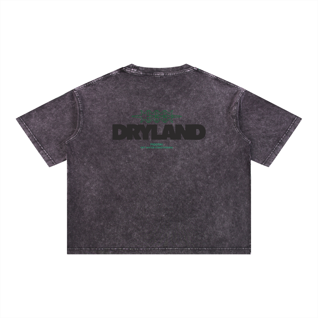 PIGOSKI Dryland Oval Boxy Tee — Mineral Wash (Brights)