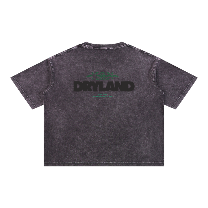 PIGOSKI Dryland Oval Boxy Tee — Mineral Wash (Brights)