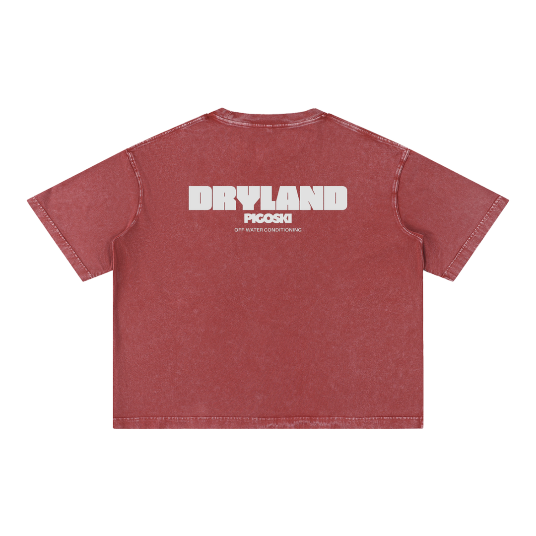 PIGOSKI Dryland Wordmark Boxy Tee — Mineral Wash