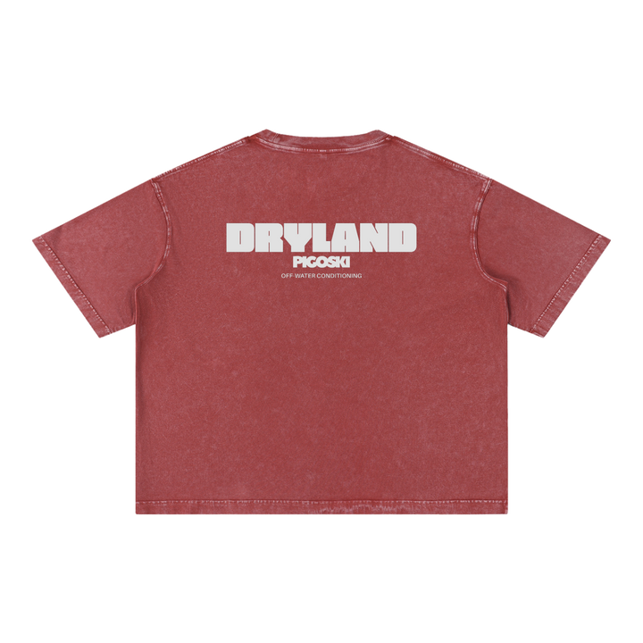 PIGOSKI Dryland Wordmark Boxy Tee — Mineral Wash