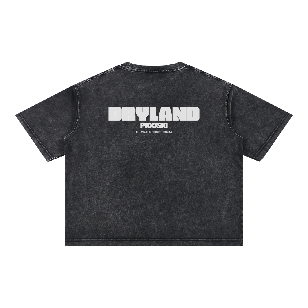 PIGOSKI Dryland Wordmark Boxy Tee — Mineral Wash