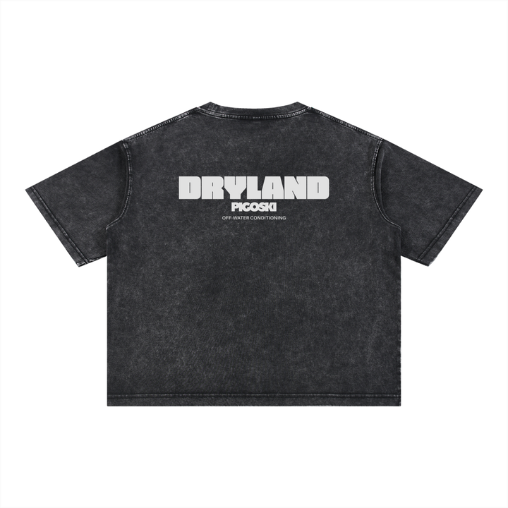 PIGOSKI Dryland Wordmark Boxy Tee — Mineral Wash