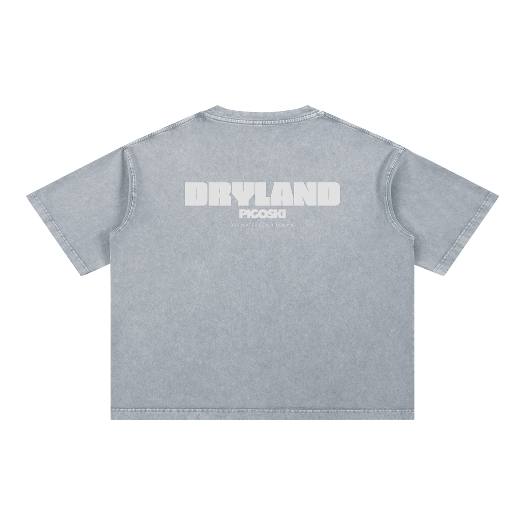 PIGOSKI Dryland Wordmark Boxy Tee — Mineral Wash