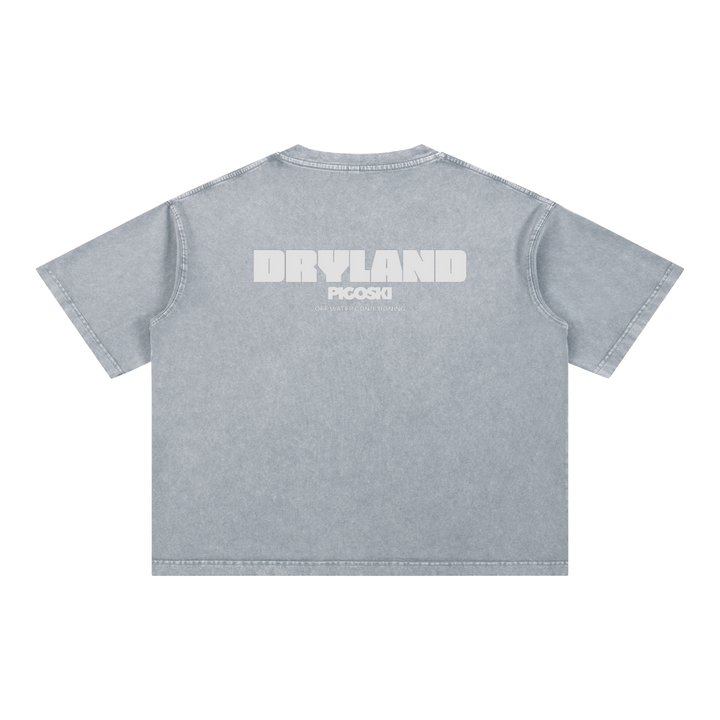 PIGOSKI Dryland Wordmark Boxy Tee — Mineral Wash