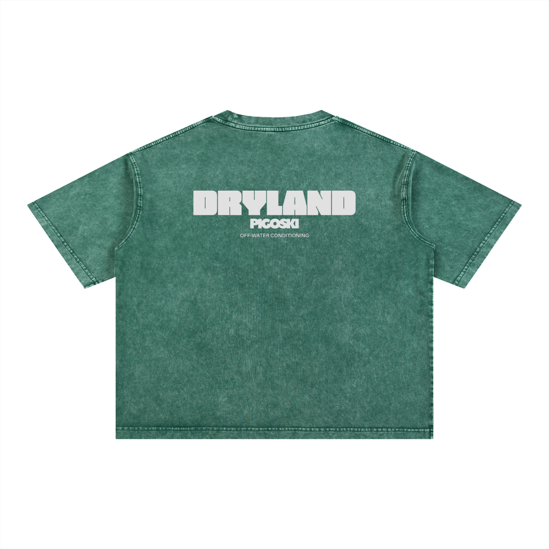 PIGOSKI Dryland Wordmark Boxy Tee — Mineral Wash