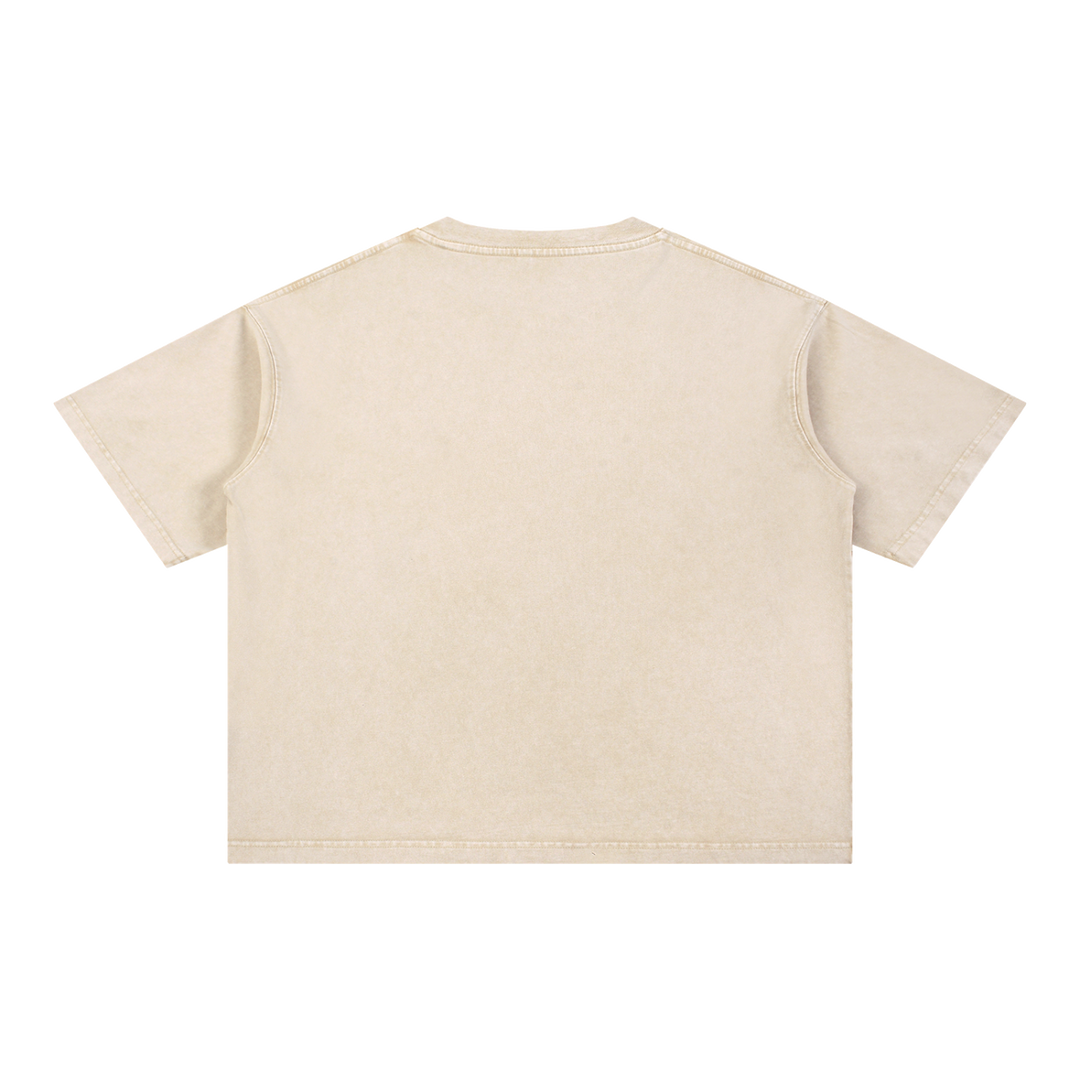 PIGOSKI Oval Boxy Tee — Mineral Wash