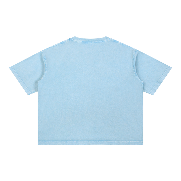 PIGOSKI Oval Boxy Tee — Mineral Wash