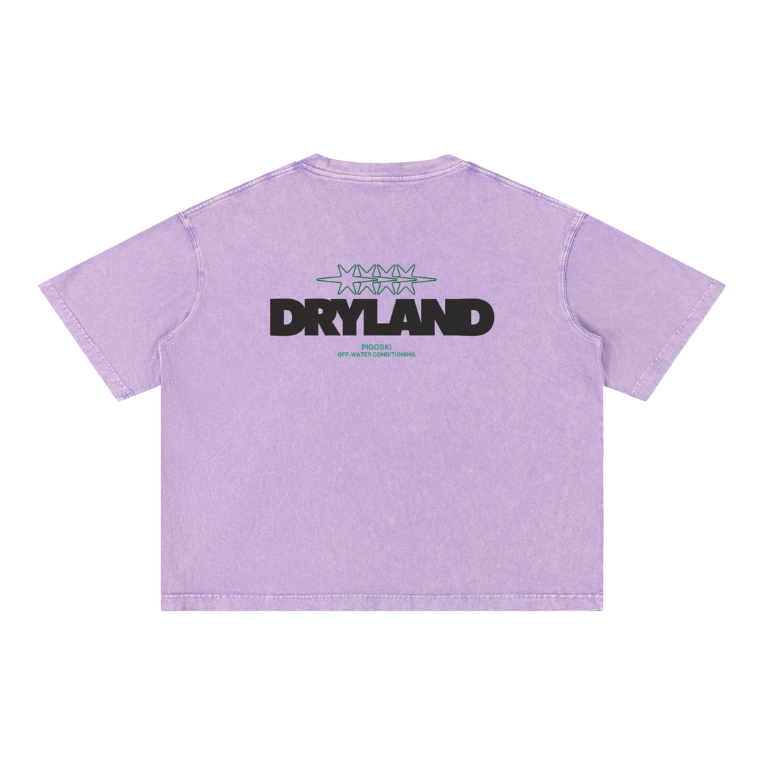 Mineral Wash Boxy Cotton T-Shirt